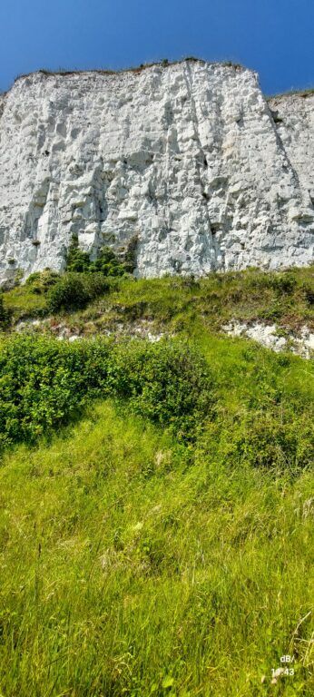 The White Cliffs near Dover (actually not far south of Walmer)