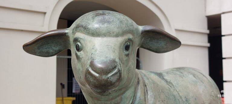 Lamb, Canterbury bus depot