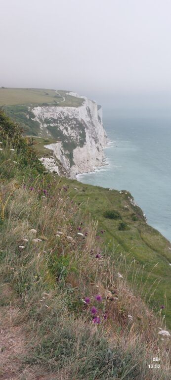 The White Cliffs