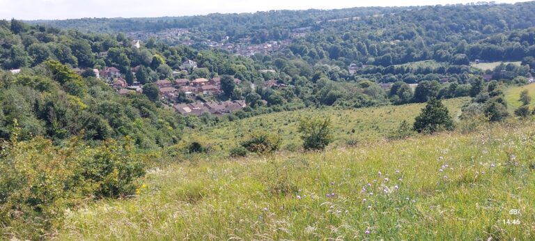 Second visit to Temple Ewell Nature Reserves, still no luck with the moth nor the skipper, but lots of Marbled White and other skippers