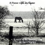 a-horse-with-no-name