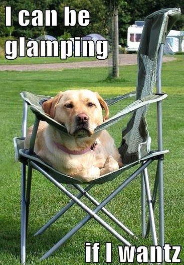 dog-glamping