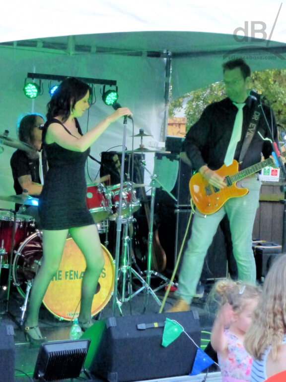 The Fenatics at The Chequers Beer Festival 8th July 2017