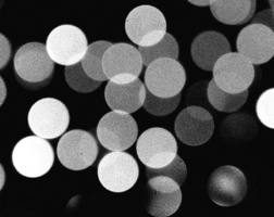 xmas-light-bokeh-monochrome